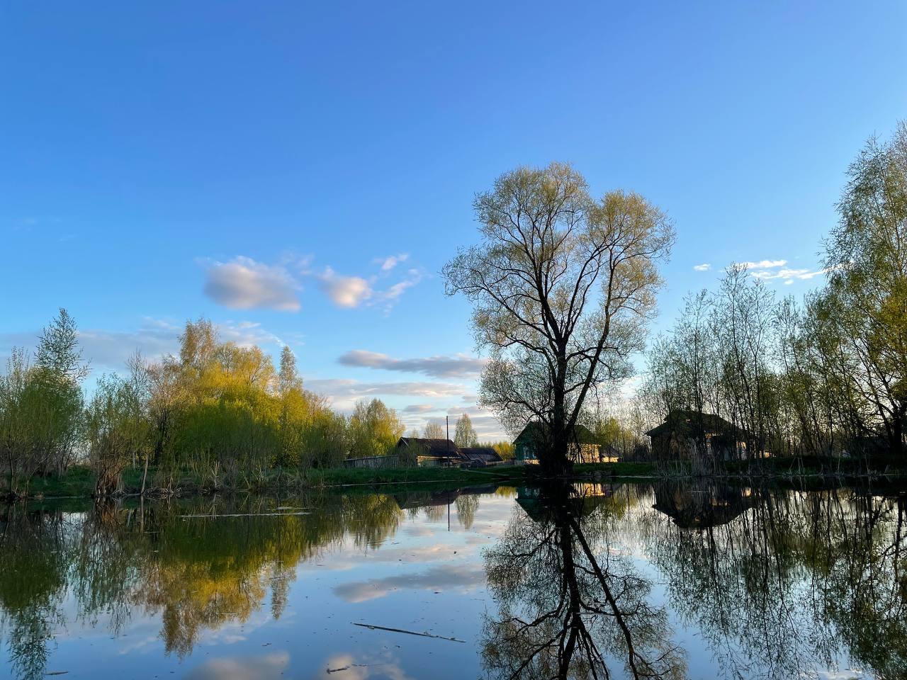 Фото Давыдовское