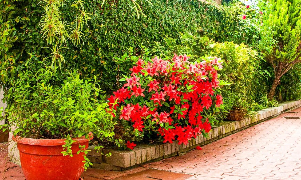 Фото Вилла Валентина