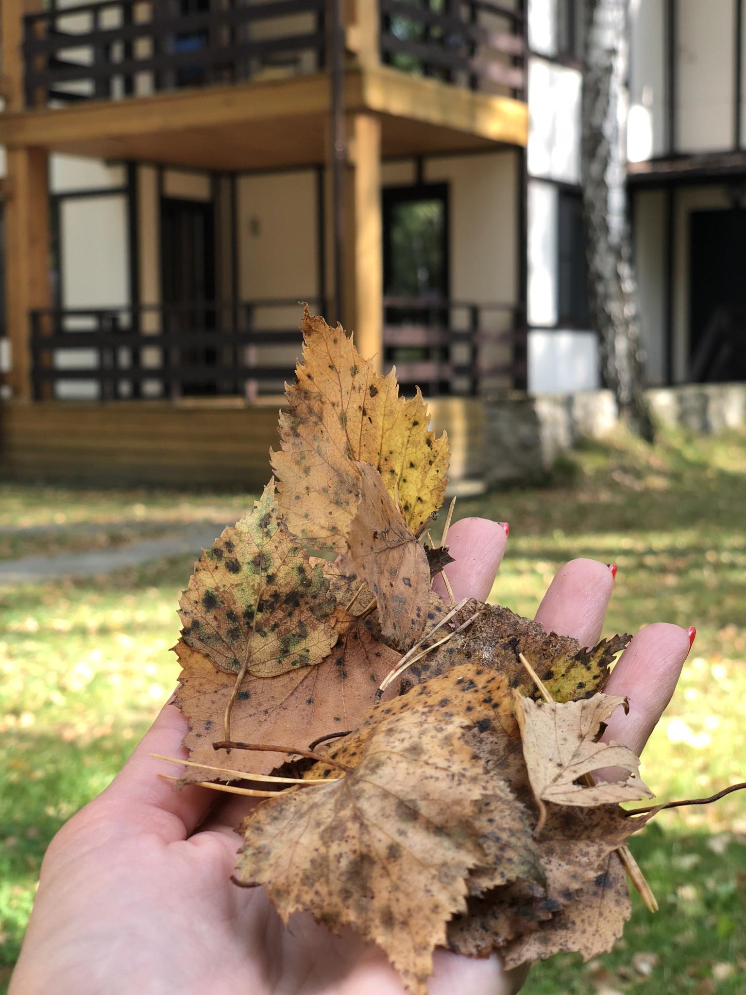 Фото Сибирская жемчужина