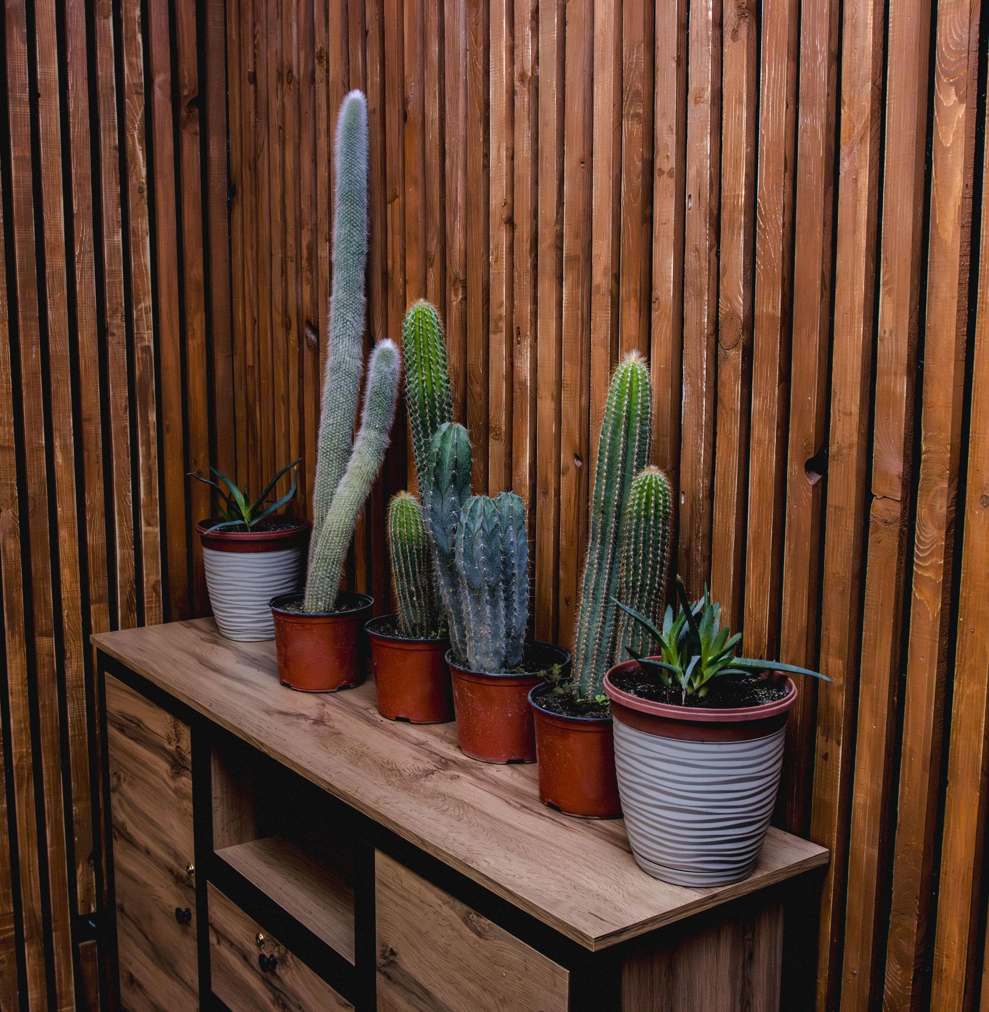 Фото Арт-Отель