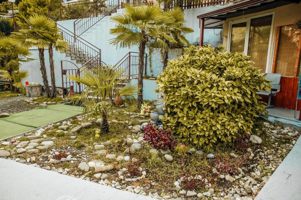 Фото Море и Горы