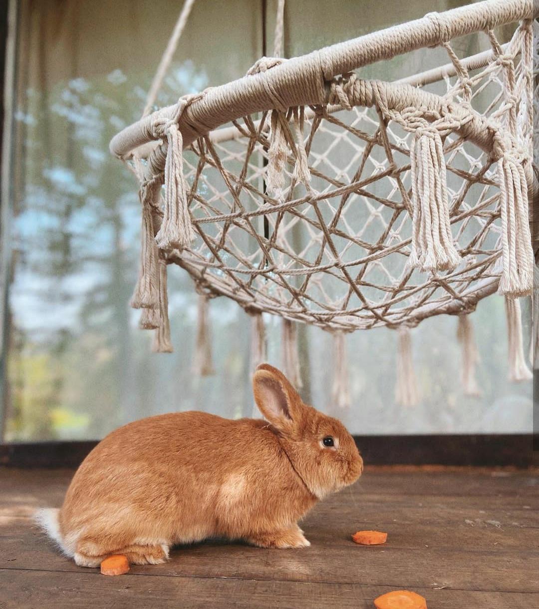 Фото Дом на дереве