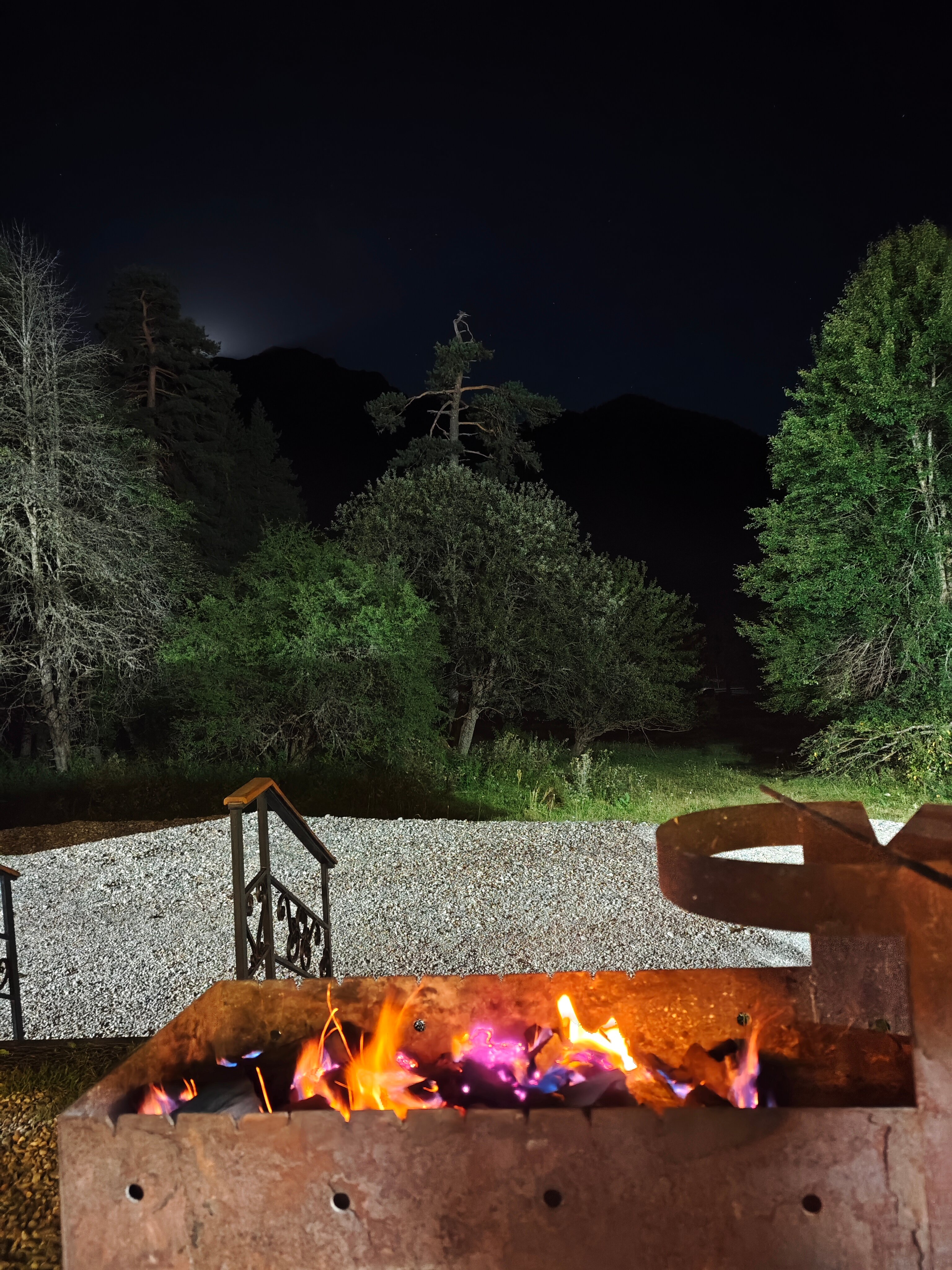 Фото Paradise Forest