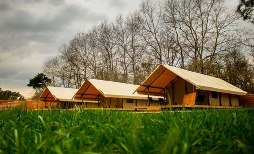 Глэмпинг Малина в Зеленоградске