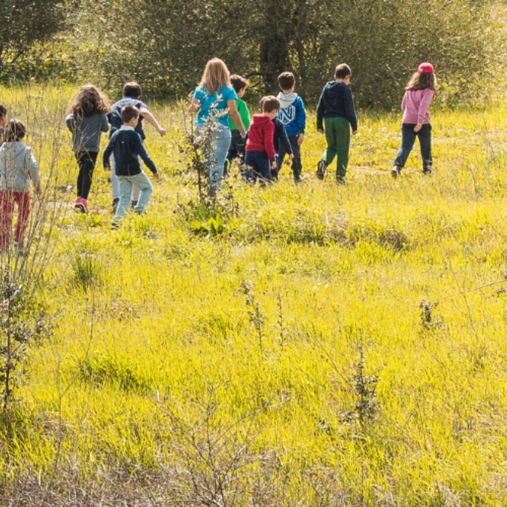 Фото Evora Hotel