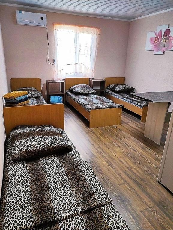 Фото Онегин