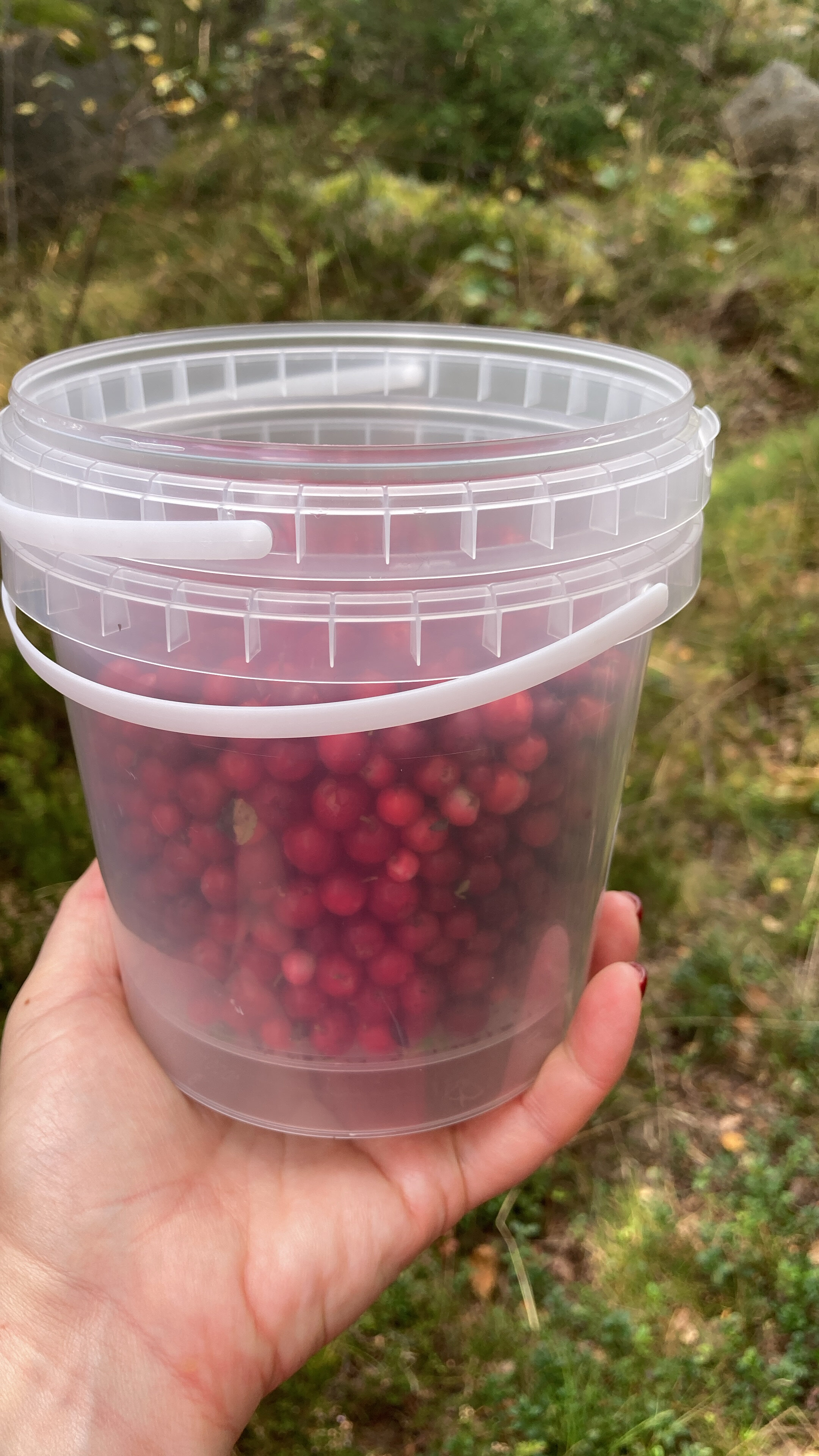 Фото Заречье