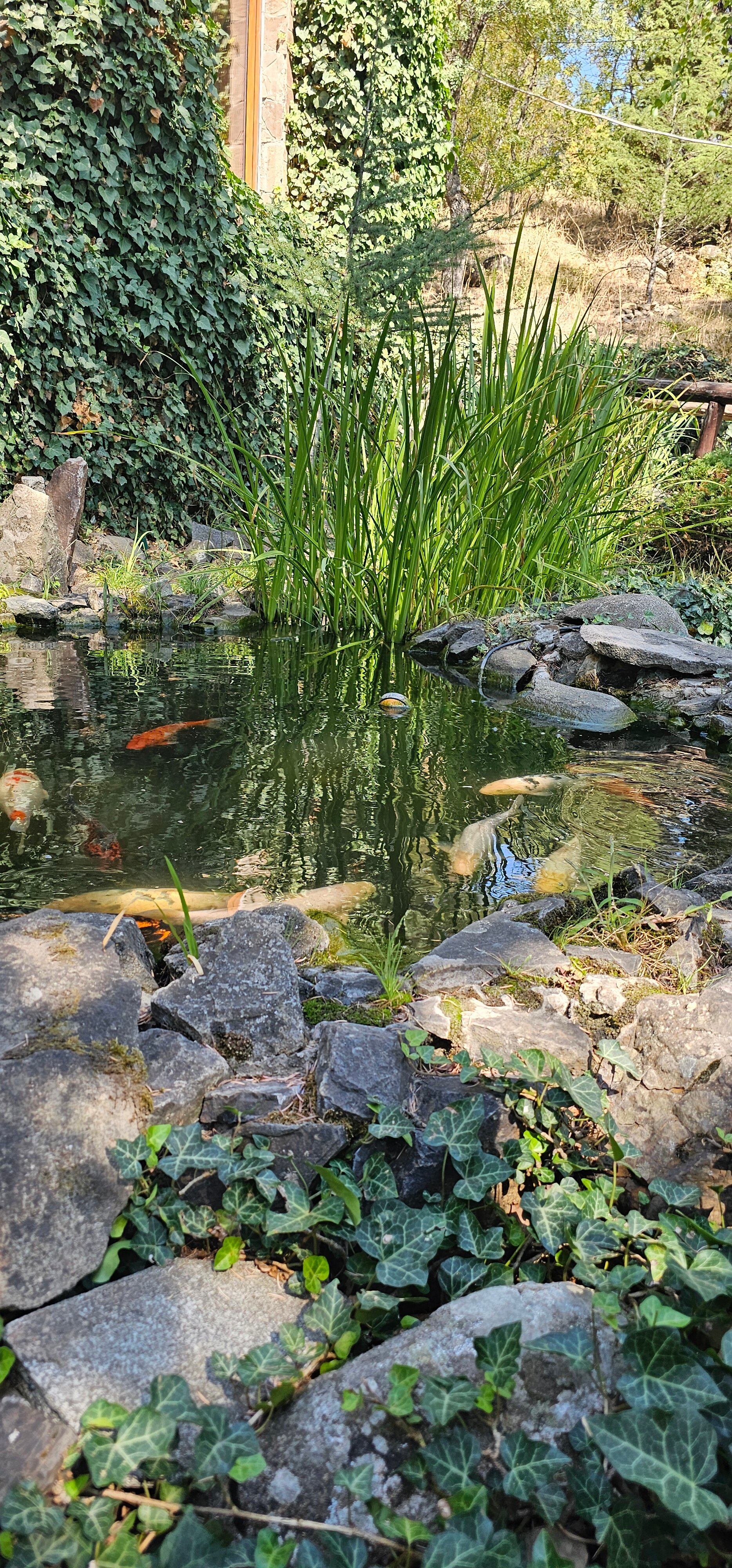 Фото Лесной