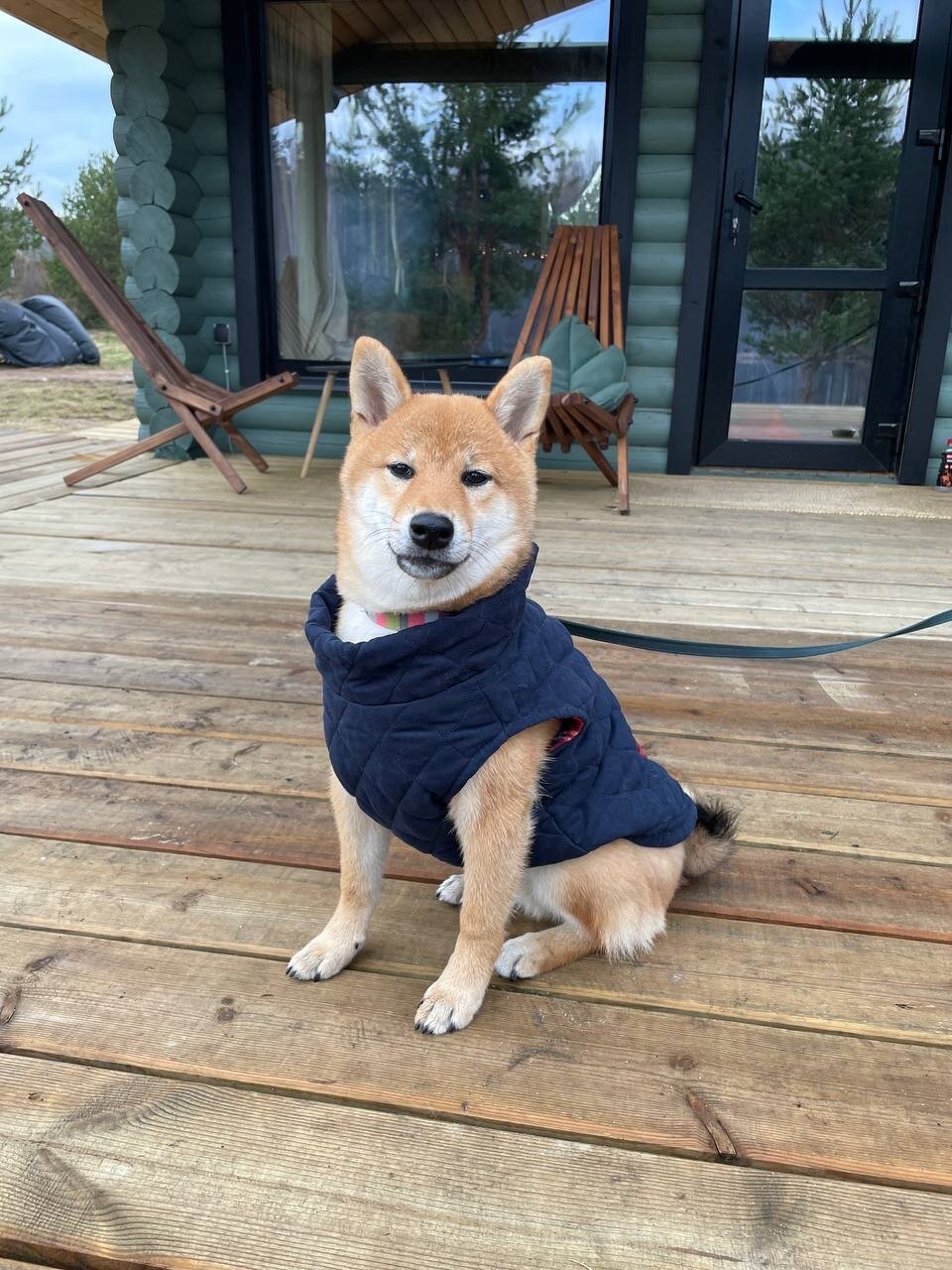 Фото Дом в Карелии на Ладожском озере