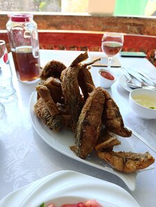 Sazanchik (Tashkent Region, Bostanlyk District) ، مقهى