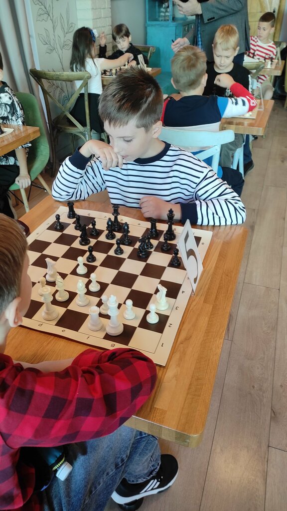 Chess club Чемпион, Balashiha, photo