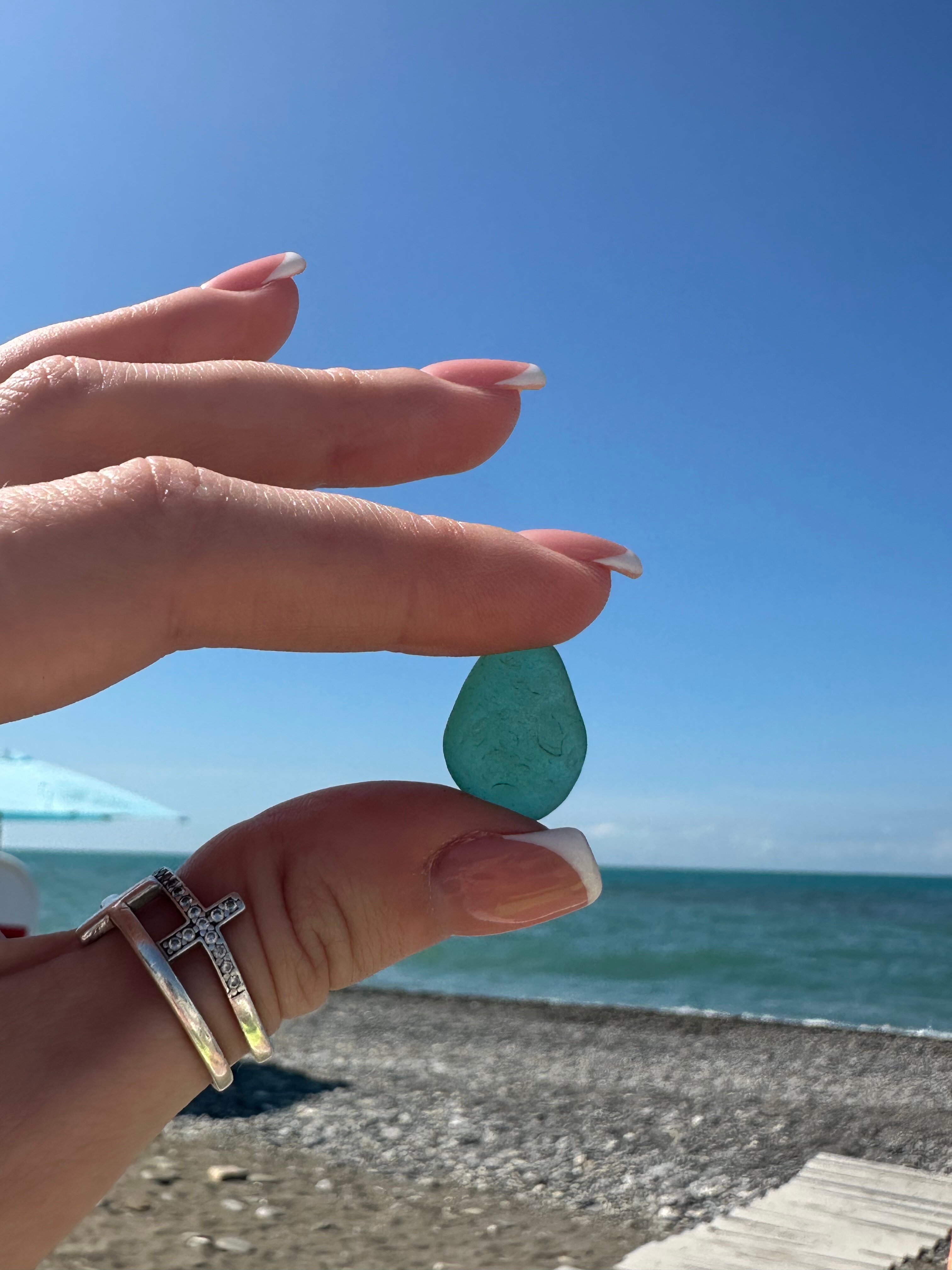 Фото Дельфин