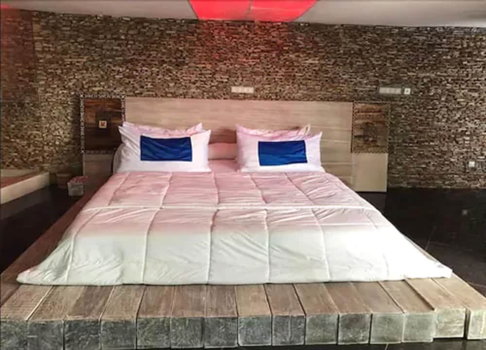 Фото 158288761313