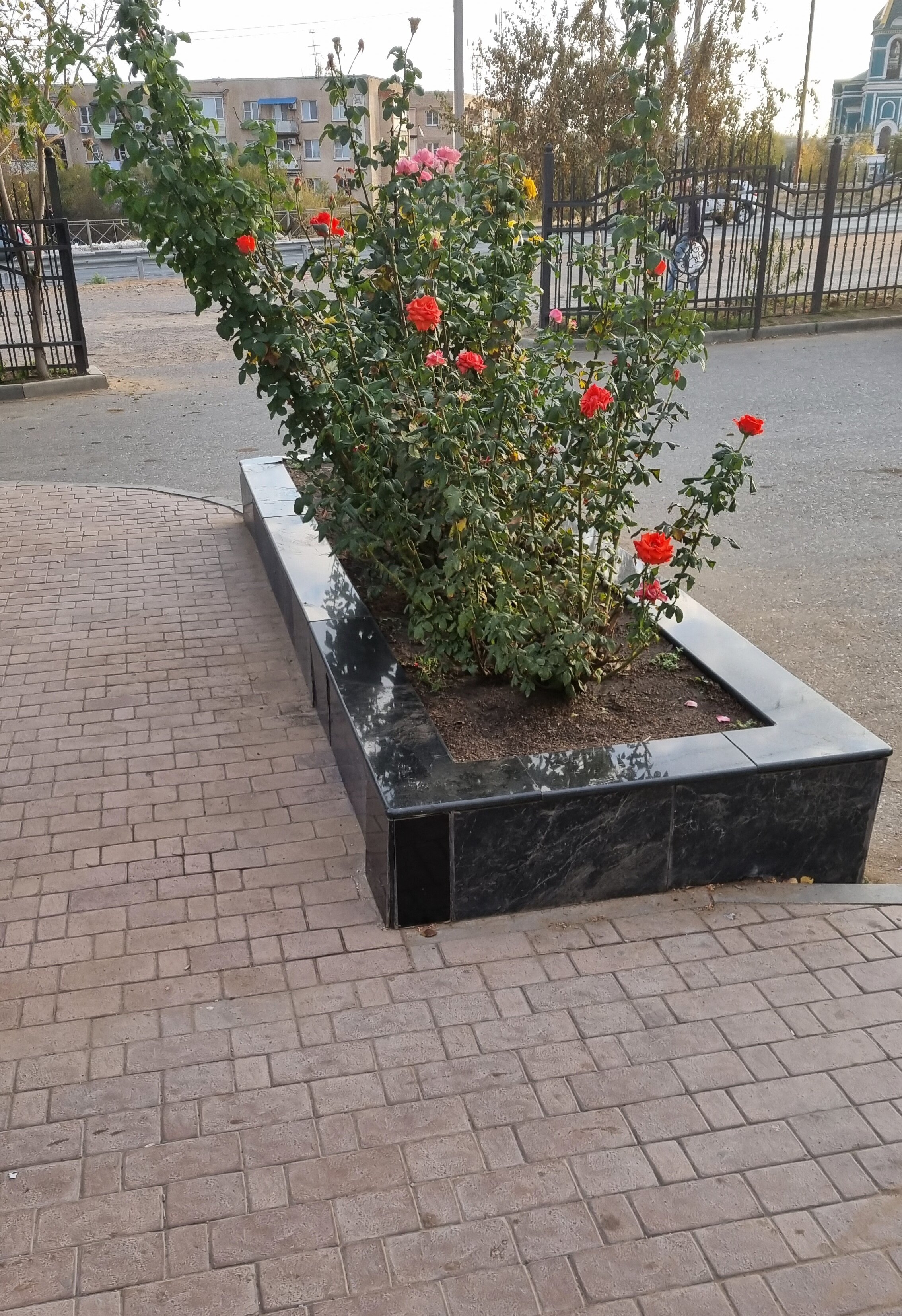 Фото ИнтерСити