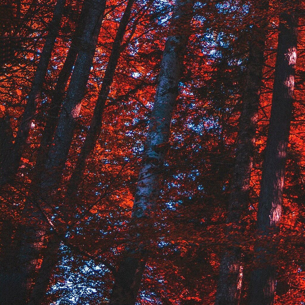 Computer repairs and services Entry Information Technology Micro Business Partner - Sales Service, Istanbul, photo