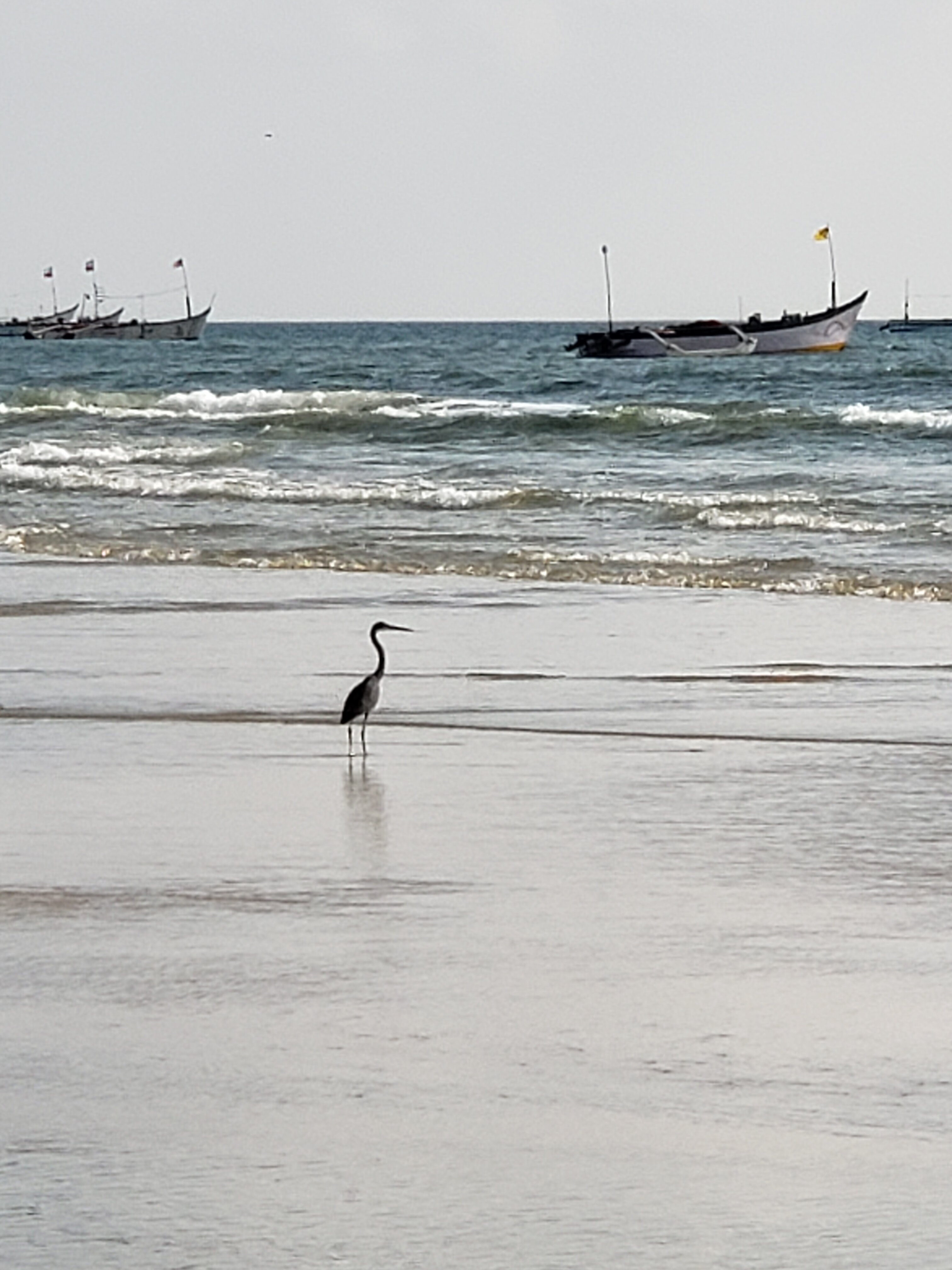 Фото Alagoa Resort