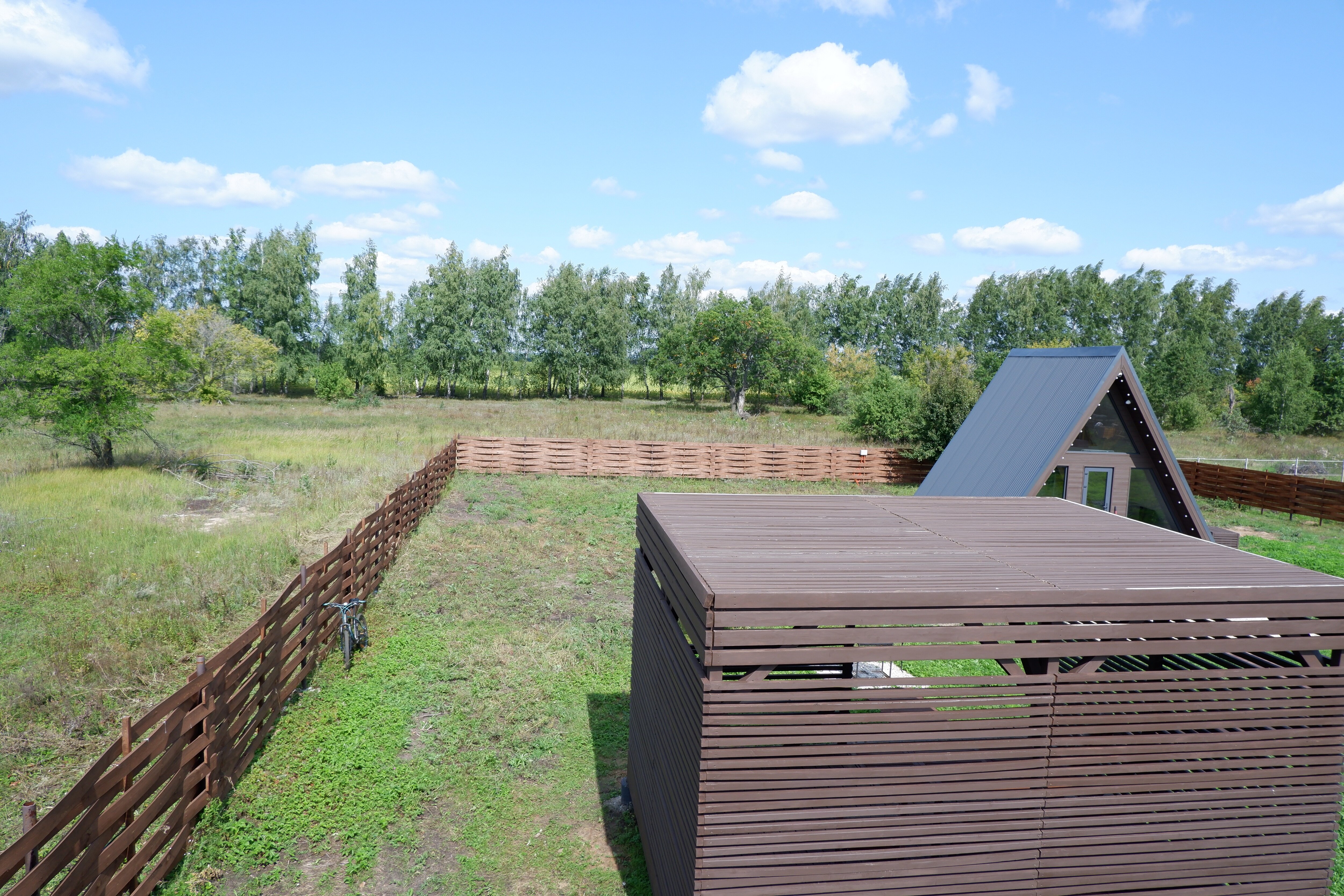 Фото Дубовая роща