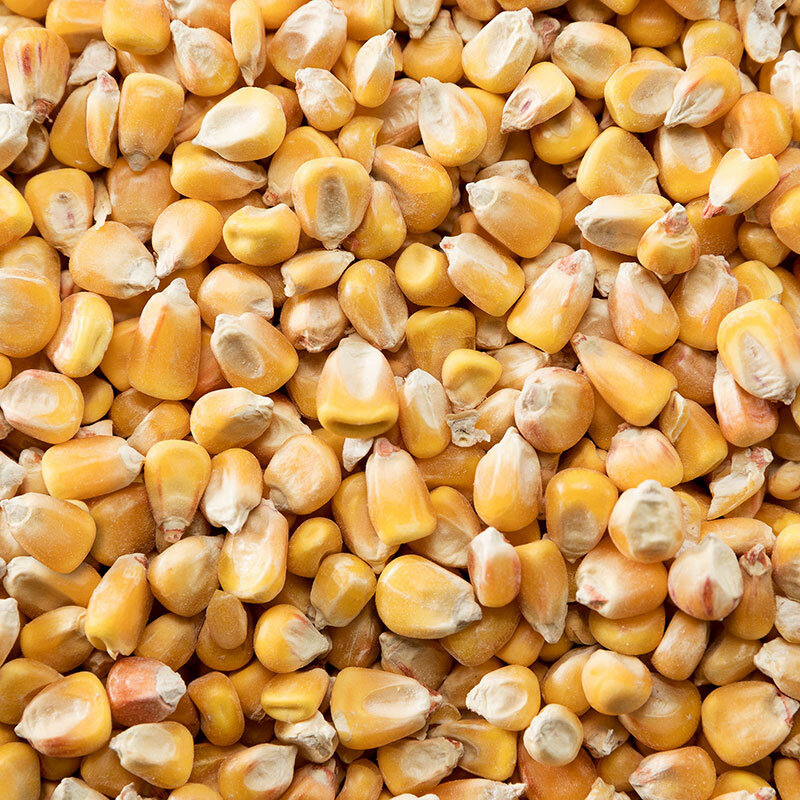 Food manufacturers Abalıoğlu Oil - Aliağa Factory, Aliaga, photo