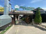 Shashlyk u Ravilya (Nūrğisa Tilendıev kóshesi, 4), cafe