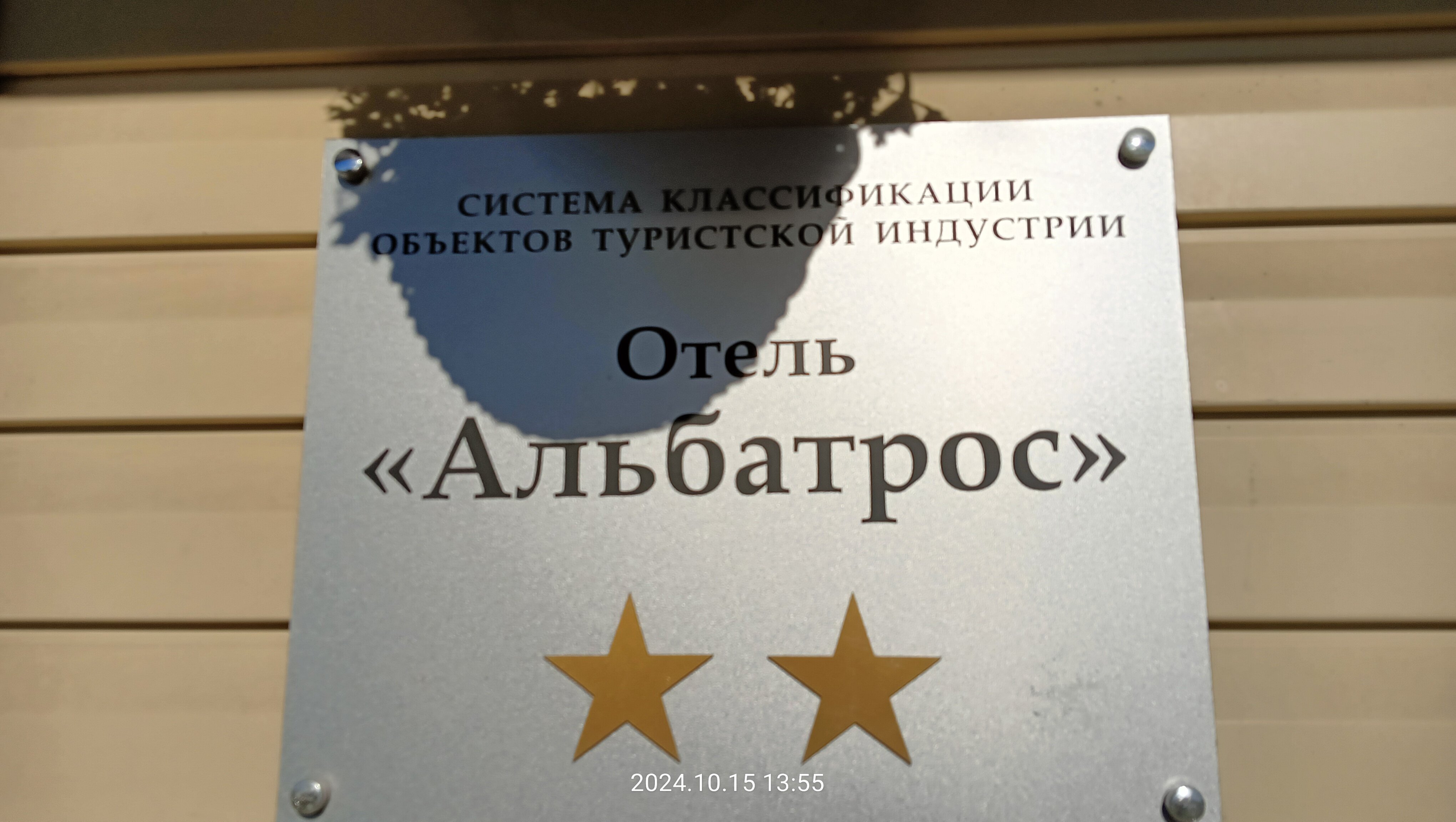 Фото Альбатрос