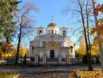 Alexander Nevsky Cathedral (Aleksandra Nevskogo Avenue, 32), orthodox church