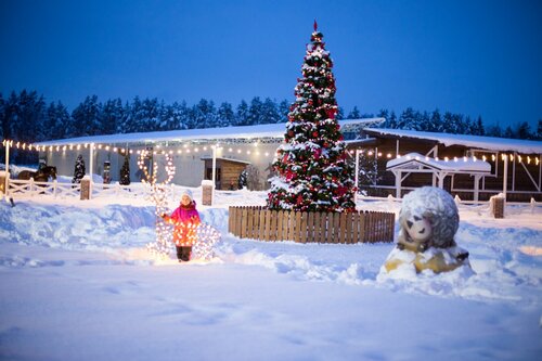 Гостиница Хорсека Резорт в Подмосковье