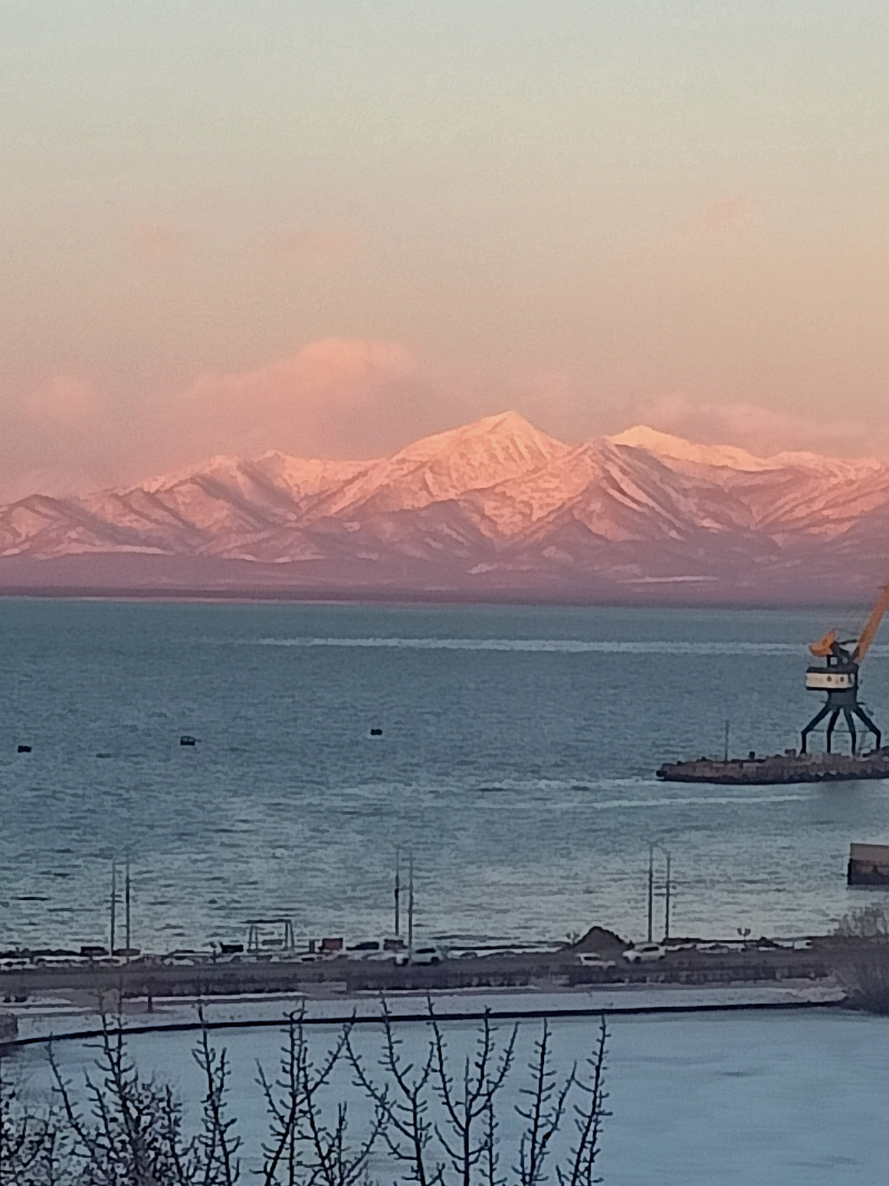 Фото Командор