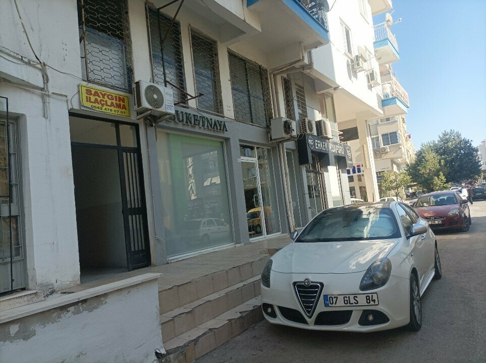 Disinfection, disinsection, deratization Saygin Ilaclama, Antalya, photo