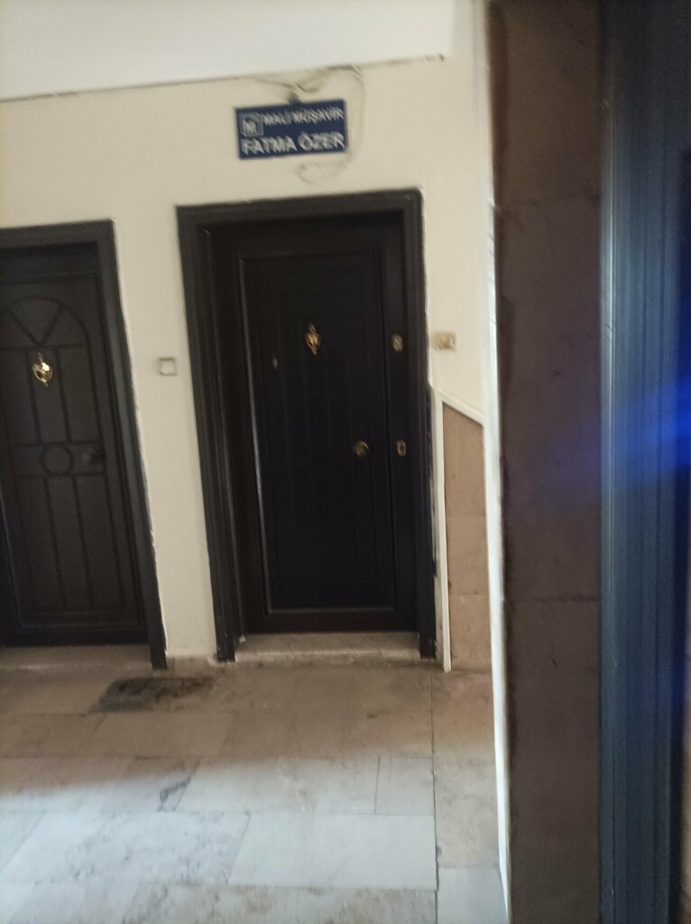 Tax consultants Fatma Ozer, Antalya, photo