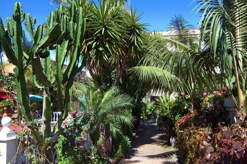 Внешний вид отеля Don Manolito в Порто-де-ла-Крусе, фото 3