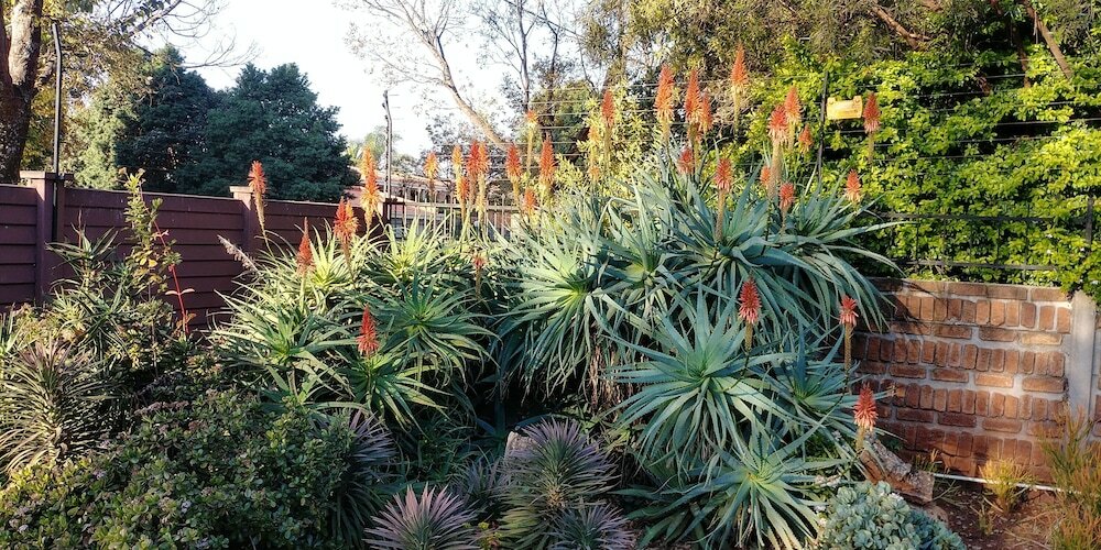 Фото Wilger Guesthouse