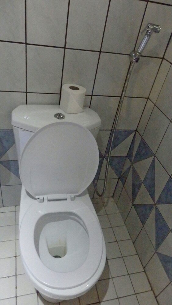 Фото Afrique Hotel Douala Airport