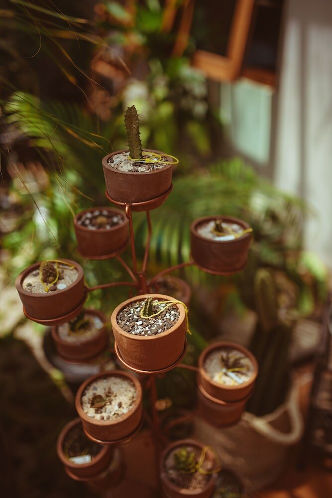 Фото House of Moedjito