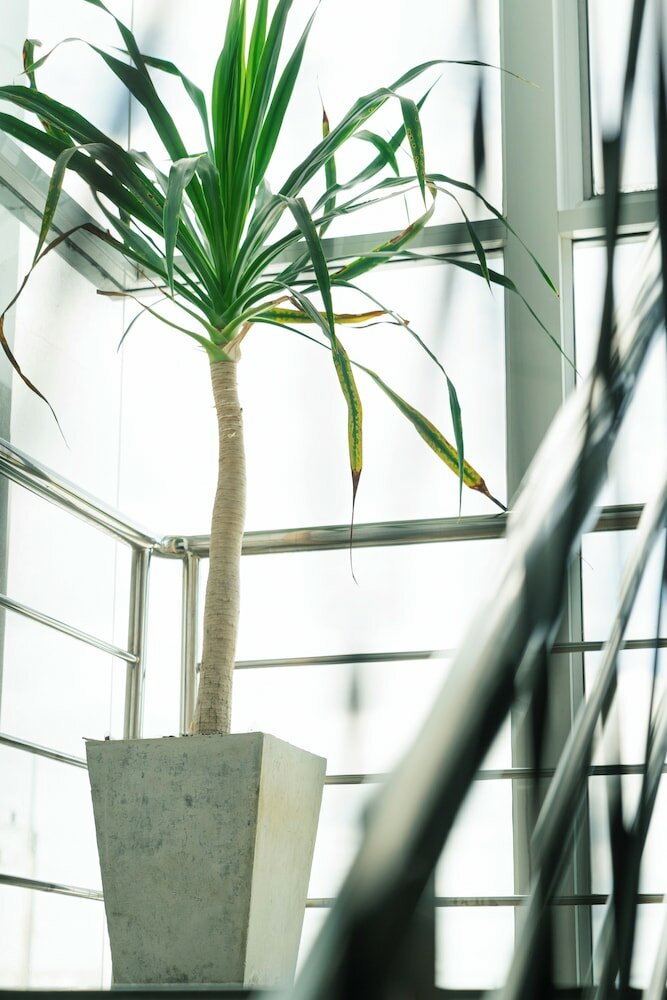 Фото Smile Place