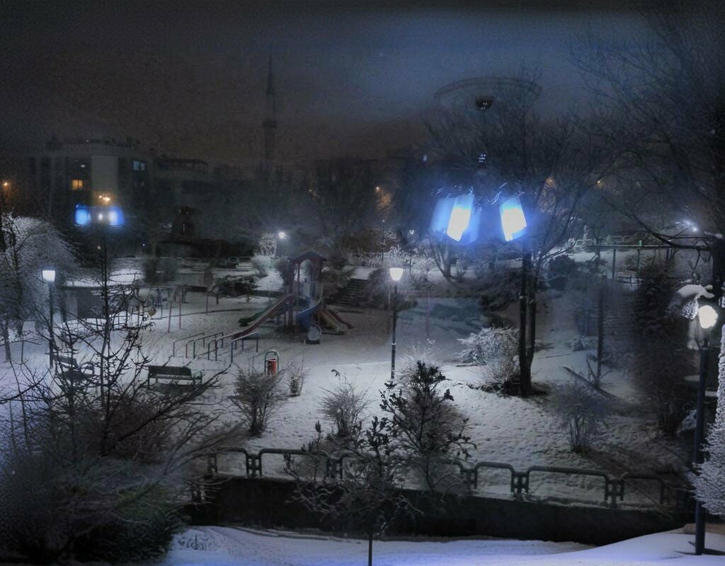 Urban forest Beyler Cildir Parki, Ankara, photo