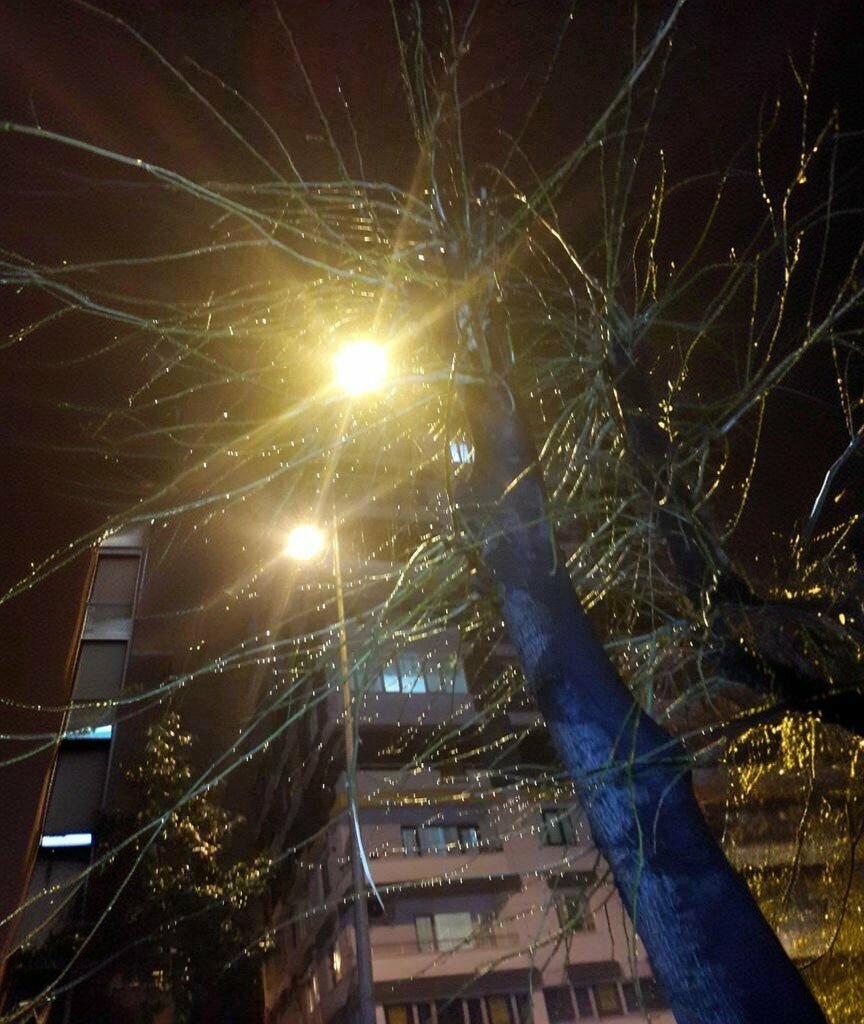 Cafe Tuglu Cafe, Samsun, photo