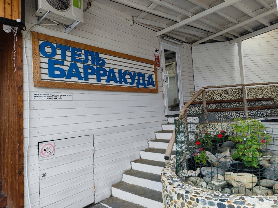 Фото Барракуда