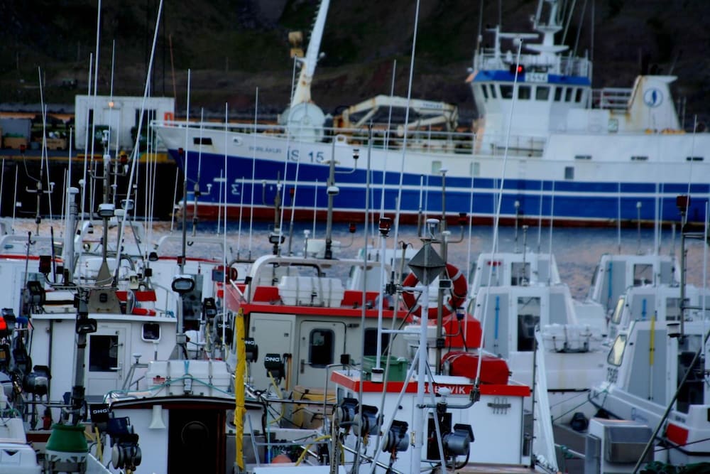 Фото Гостевой дом Литла