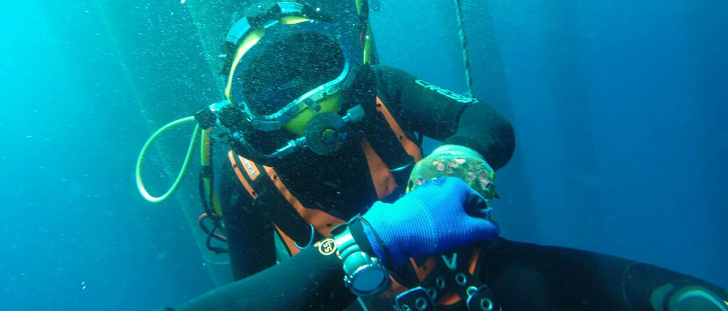 Construction company Demar Marine, Aliaga, photo