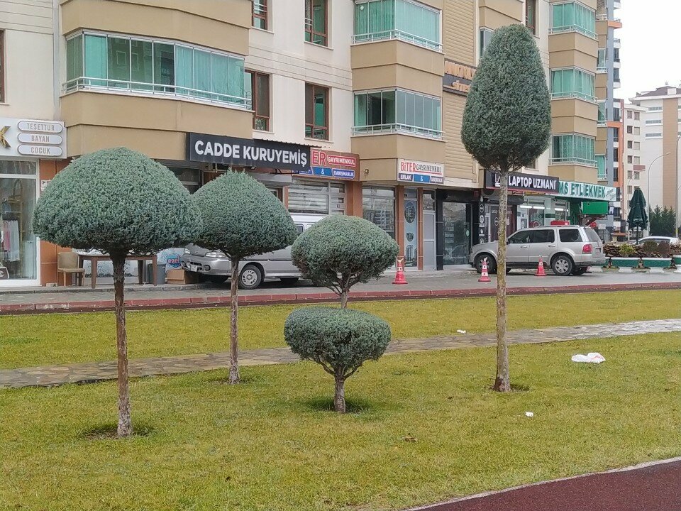 Real estate agency Biter Real Estate, Konya, photo