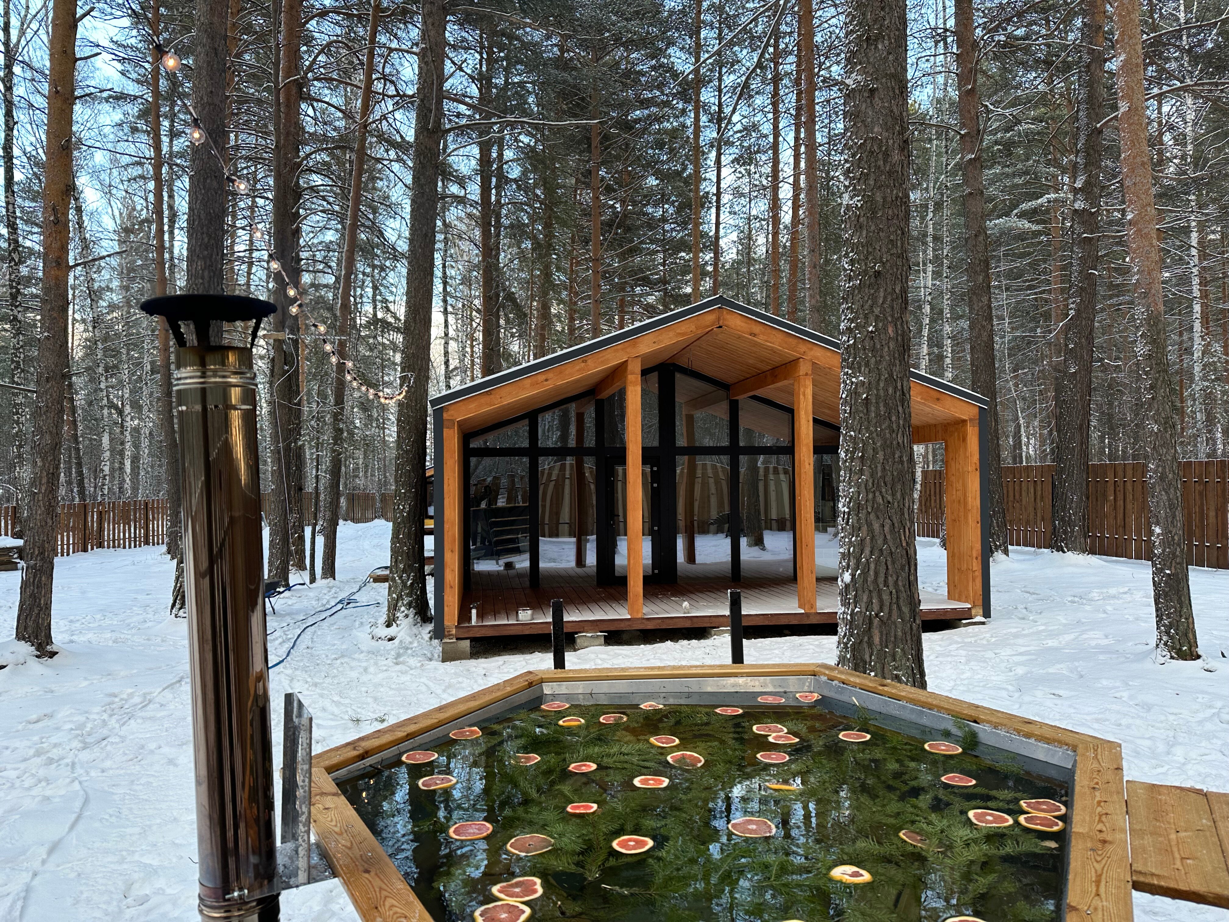 Фото Елки&голки