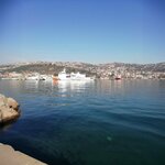 Erem Pet Shop (İstanbul, Sarıyer, Çayırbaşı Cad., 15) ، متجر للحيوانات الأليفة