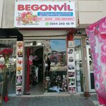Begonvil Çiçekçilik (Aydin, Nazilli District, Hürriyet Cad., 113), flower shop