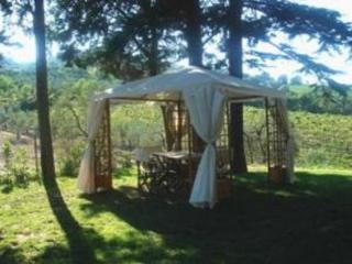 Фото Il Castagnolo