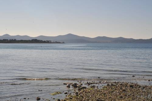 Фото Villa Gravic