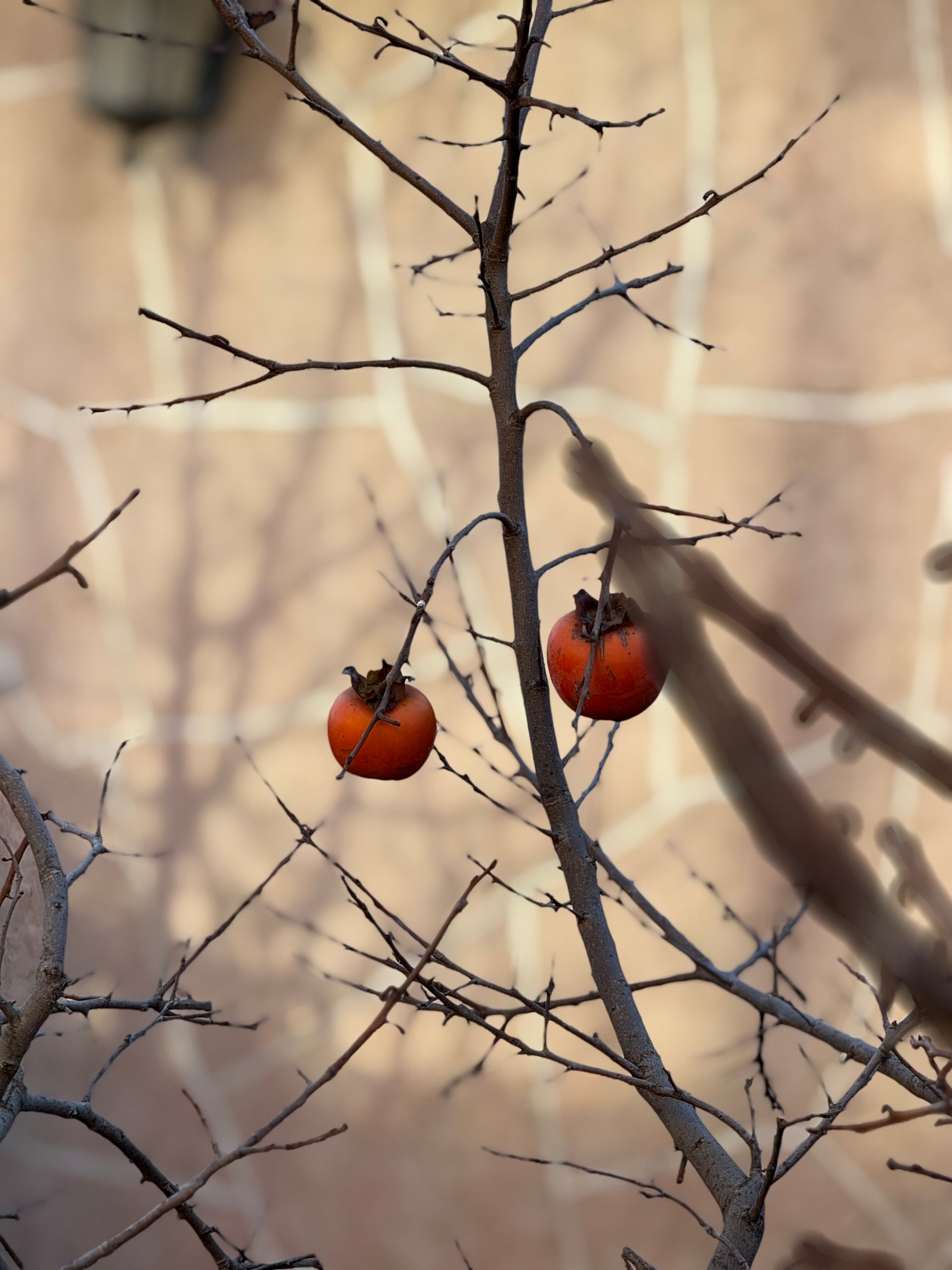 Фото Морской Бриз