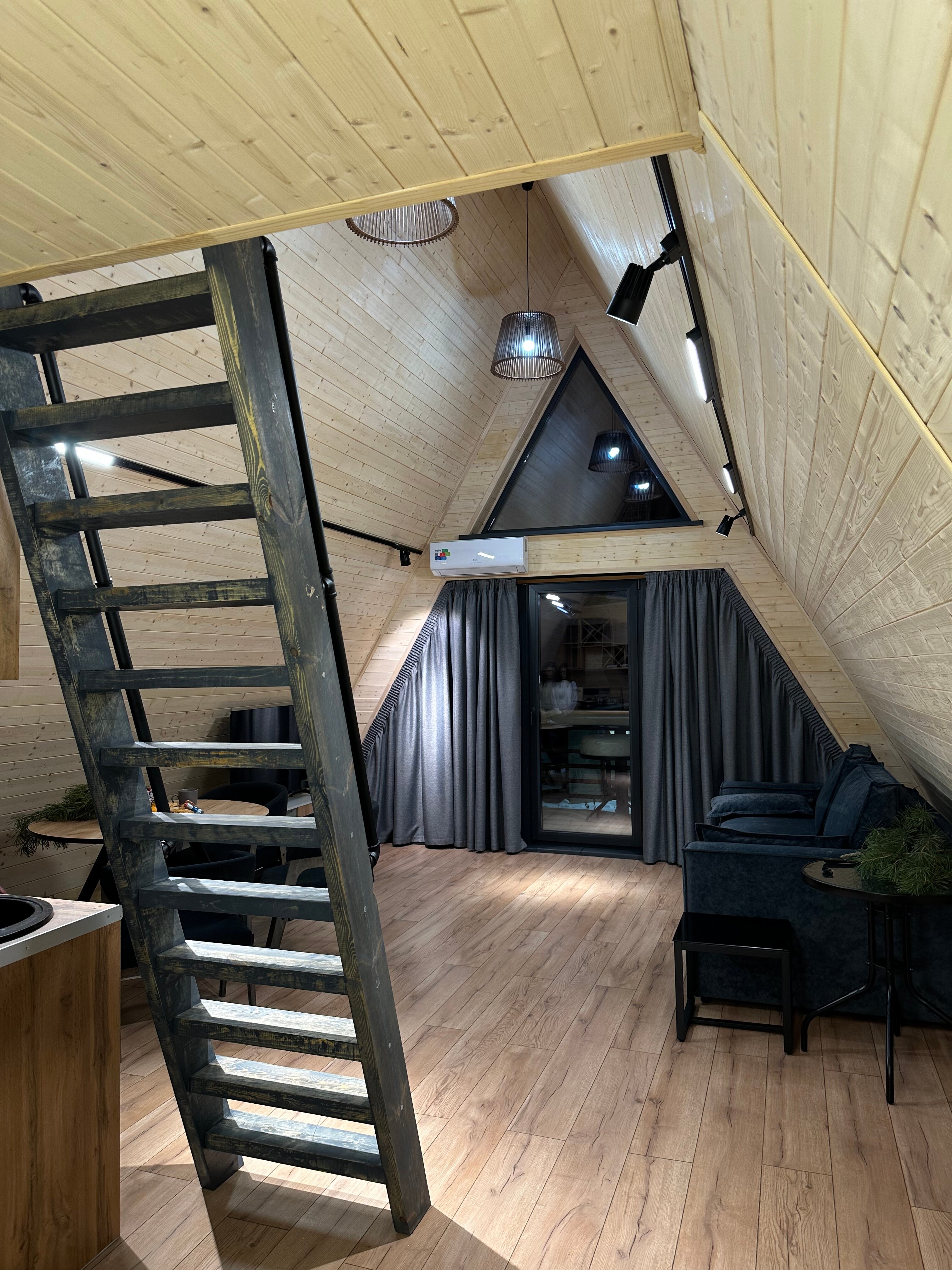 Фото Караси