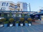Gray Bar (Urban-Type Settlement of Sirius, Kramskogo Street, 20), bar, pub