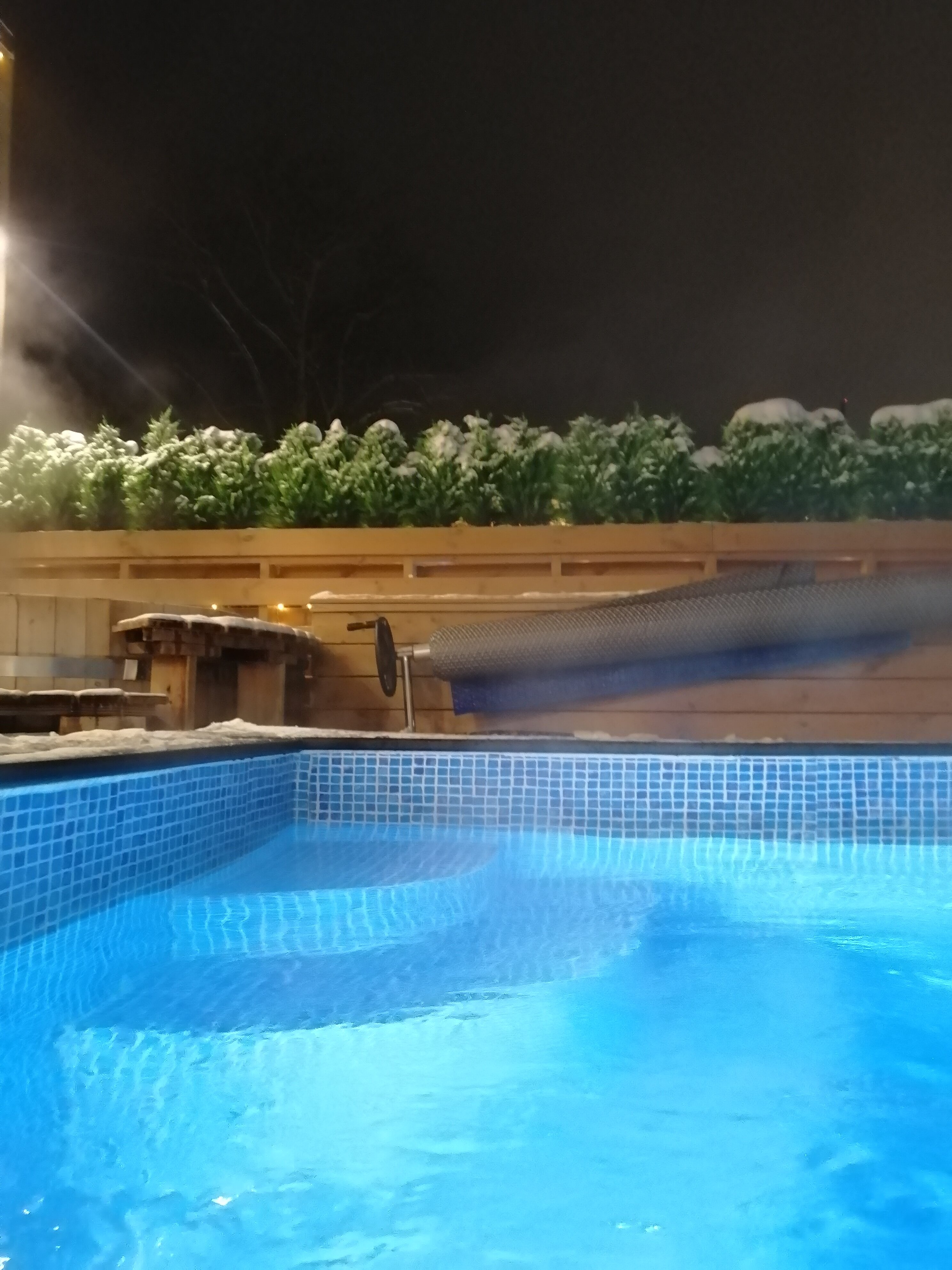 Фото Аквафорест