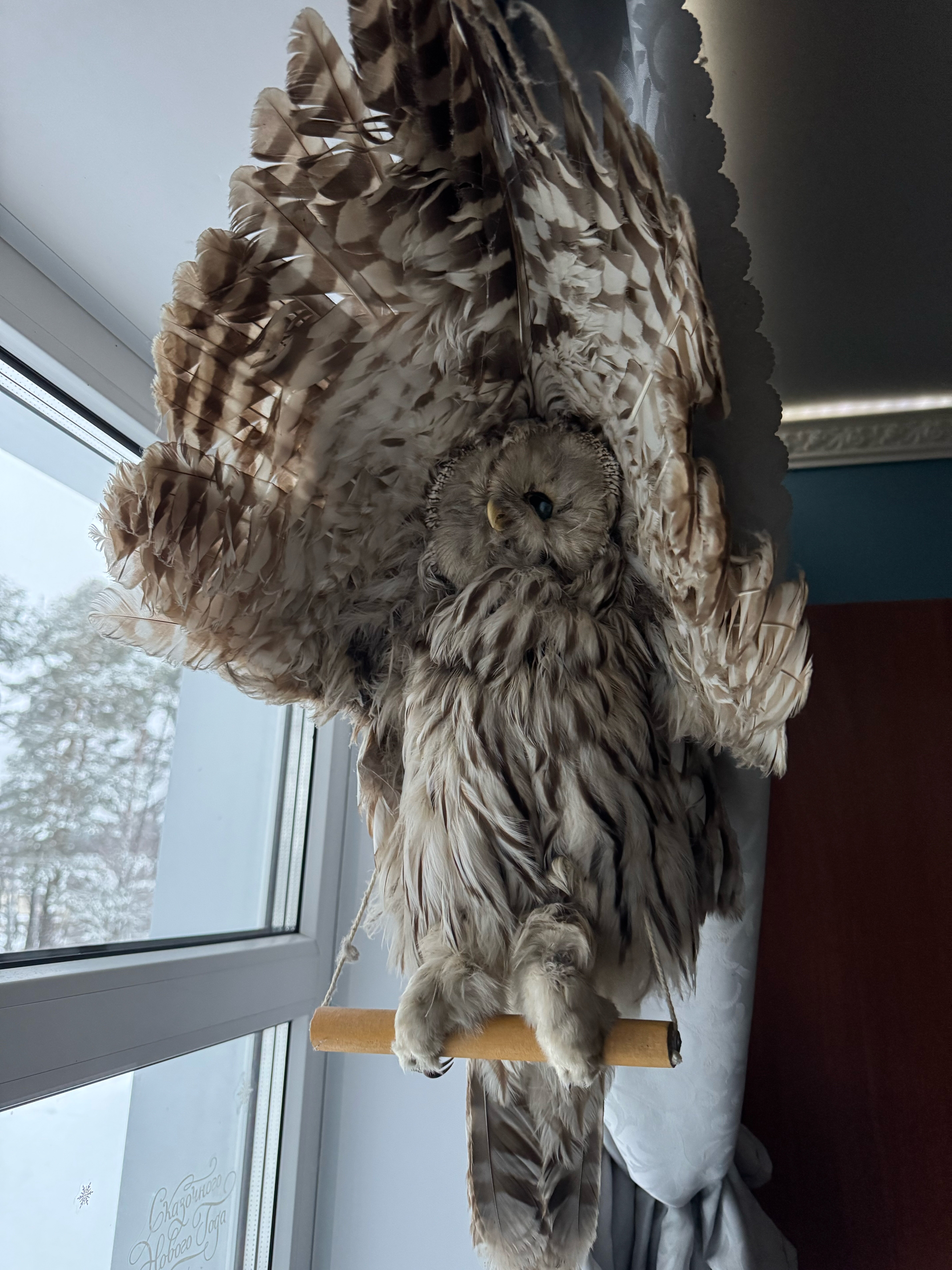 Фото Усадьба помещика Гуляева